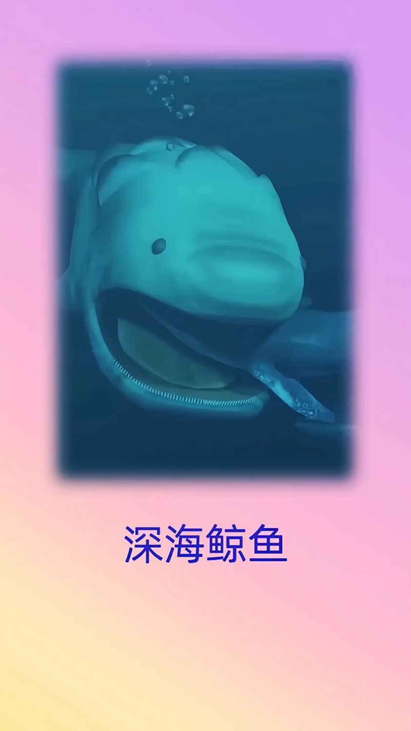深海中的变异鲸鱼