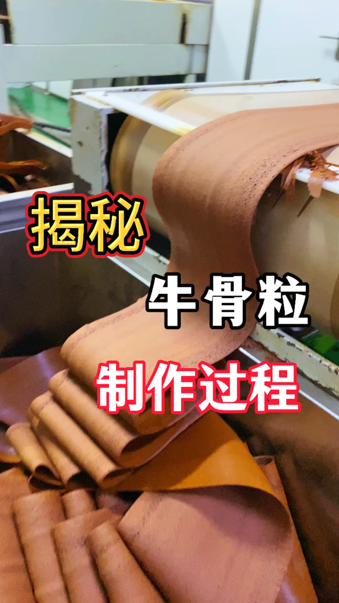 揭秘,实拍牛骨粒生产过程#酱料生产厂家 #牛肉粉#美食#代加工