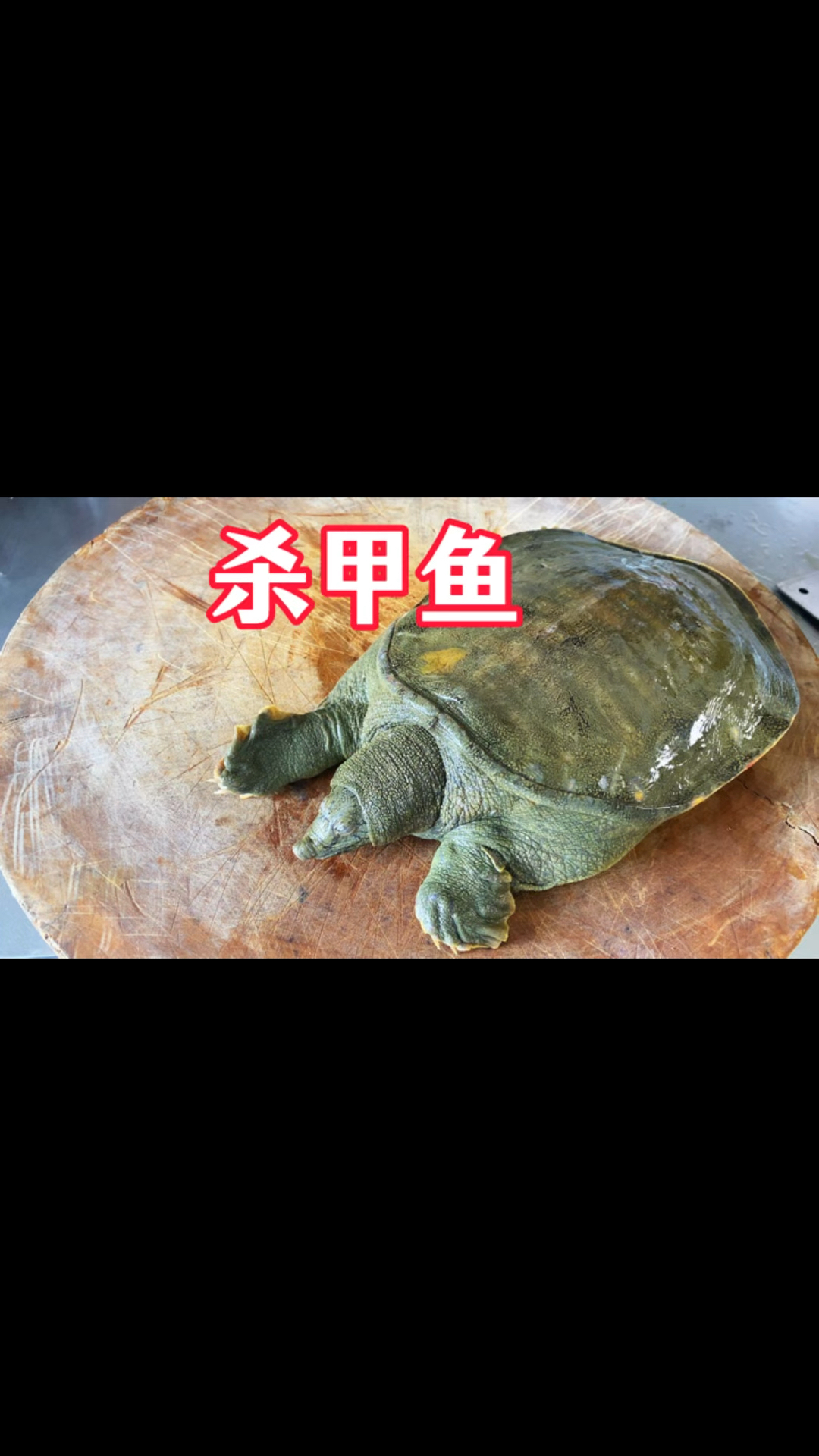厂长教你做黄焖大甲鱼#酱料生产厂家