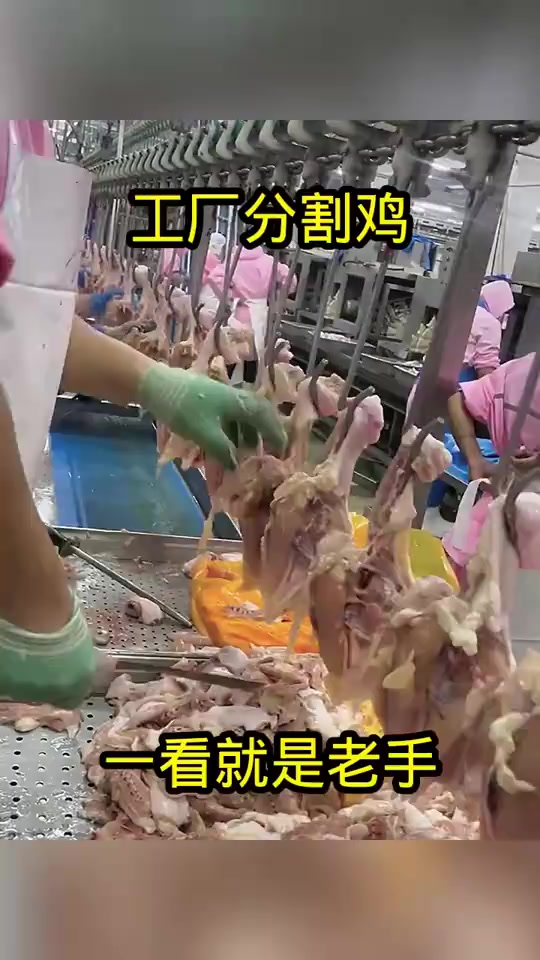 鸡肉厂惊现超速分割术,手速奇快背后隐藏的惊人秘密!