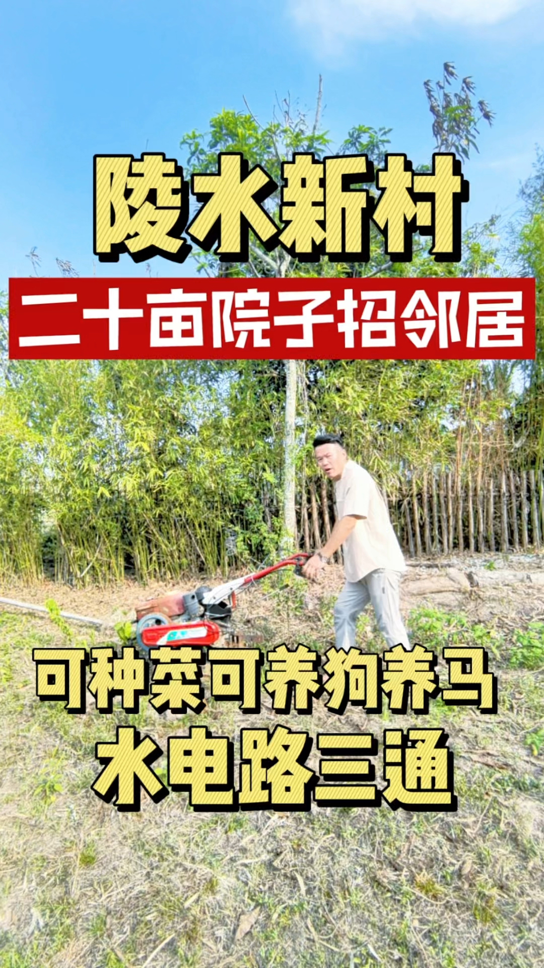 #陵水二十亩 #农庄 #营地 还有鱼塘还有菜地,可以爬椰子树攀爬网