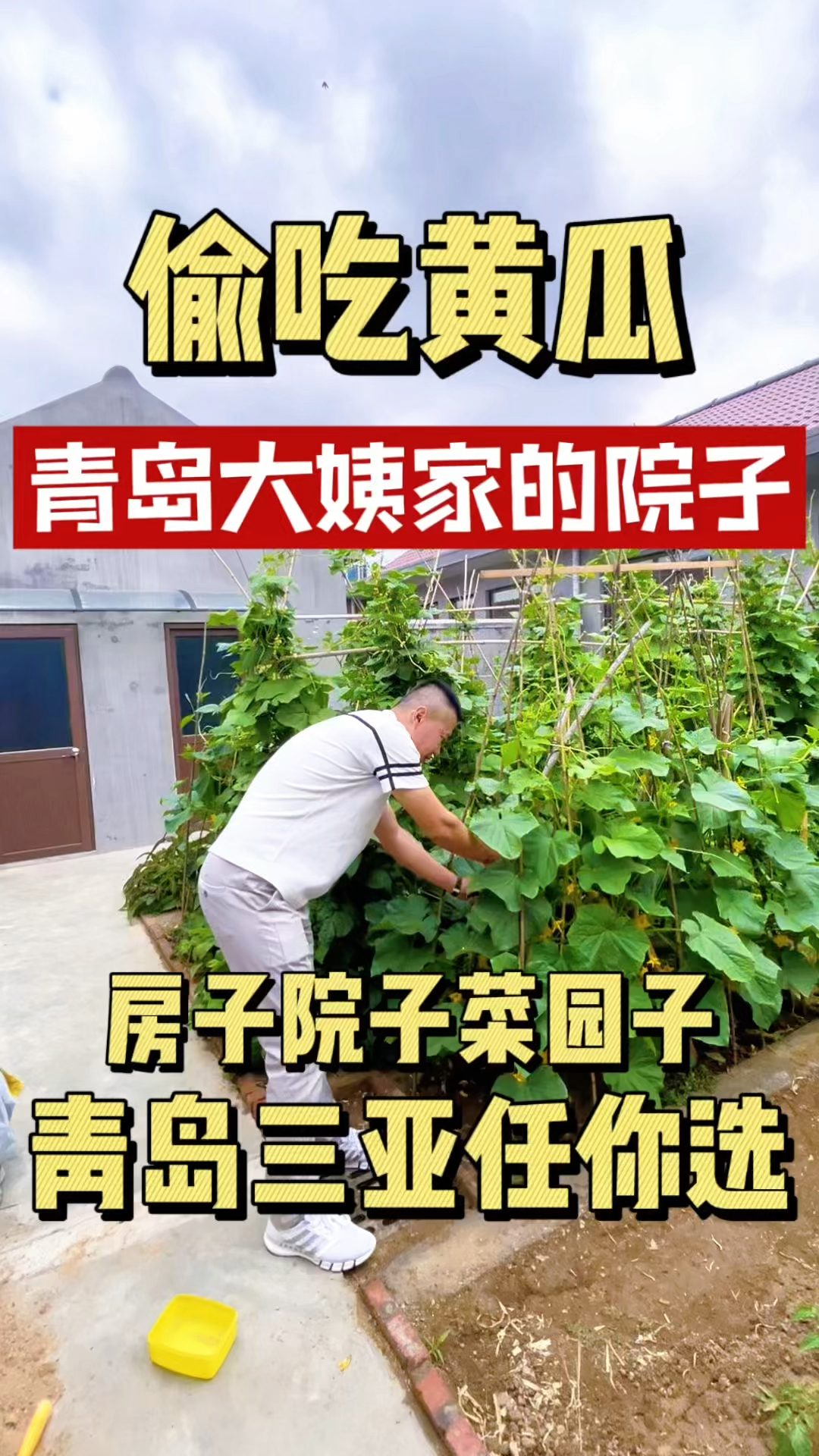 房子院子菜园子就是我理想的农村院子,夏天回青岛冬天去三亚吧