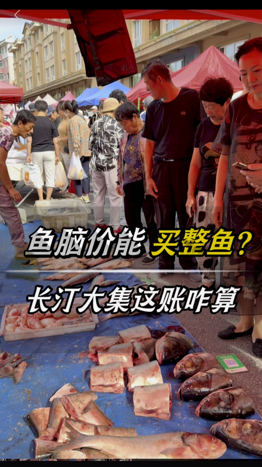 鱼脑价能买整鱼?长汀大集这账咋算
