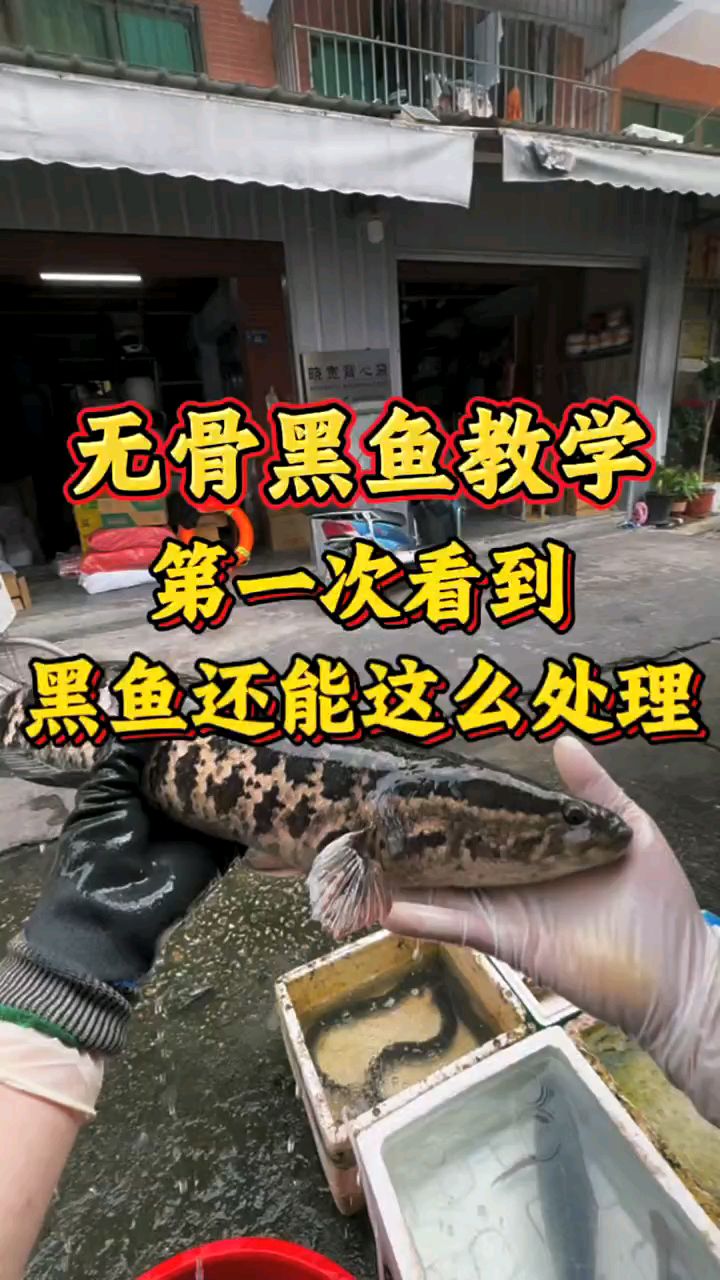 无骨黑鱼教学，手工锻打菜刀