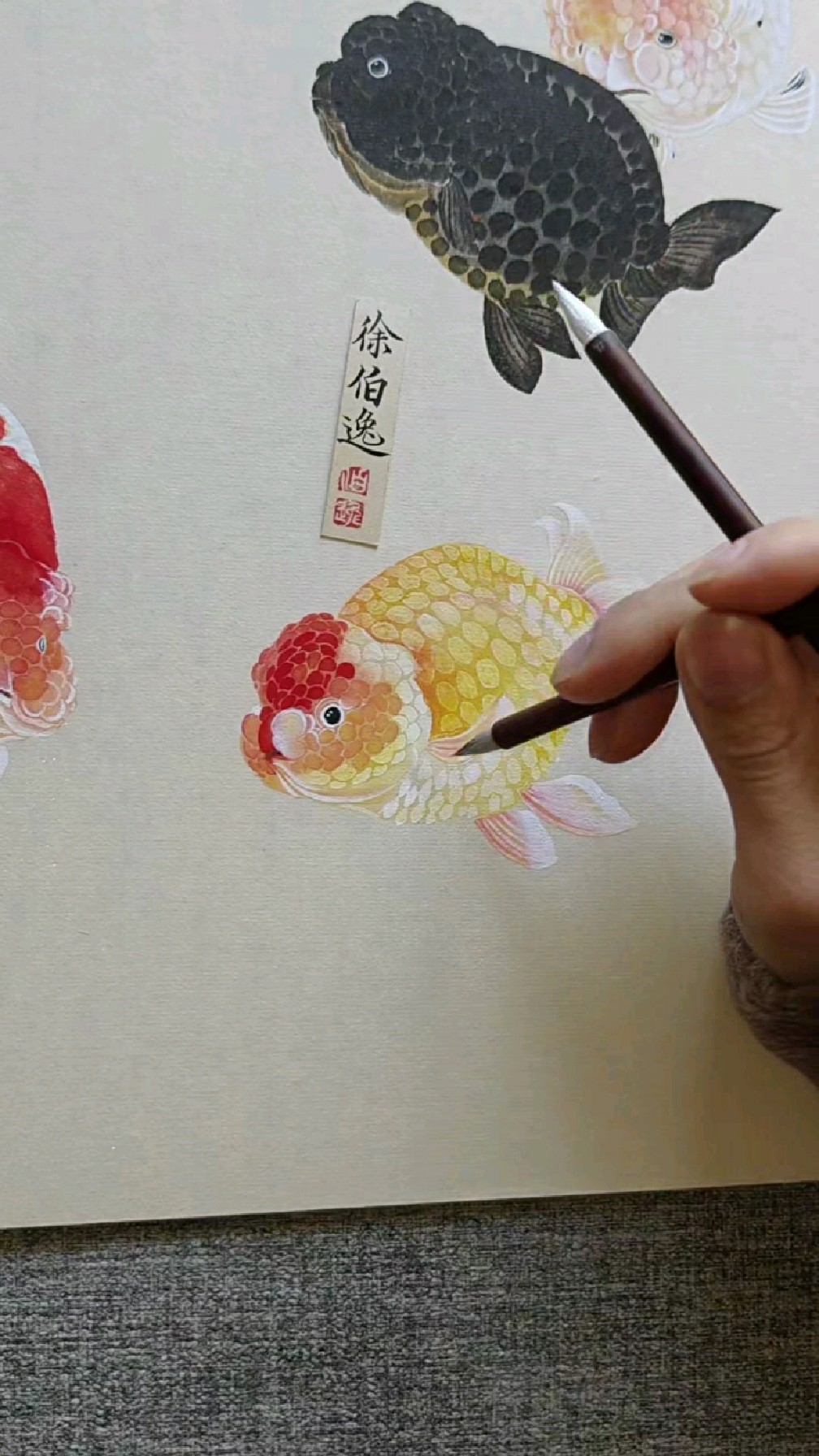 画几条胖嘟嘟呆萌的兰寿金鱼