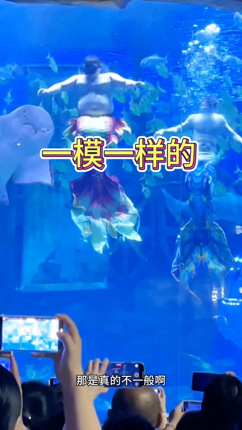 看着眼前的美人鱼,真的太可爱了吧