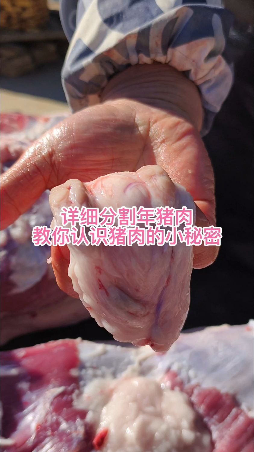 详细分割年猪肉,教你认识猪肉的小秘密