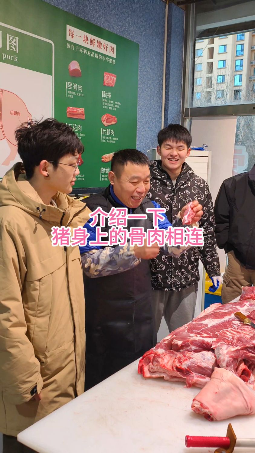 介绍一下,猪身上的“骨肉相连”