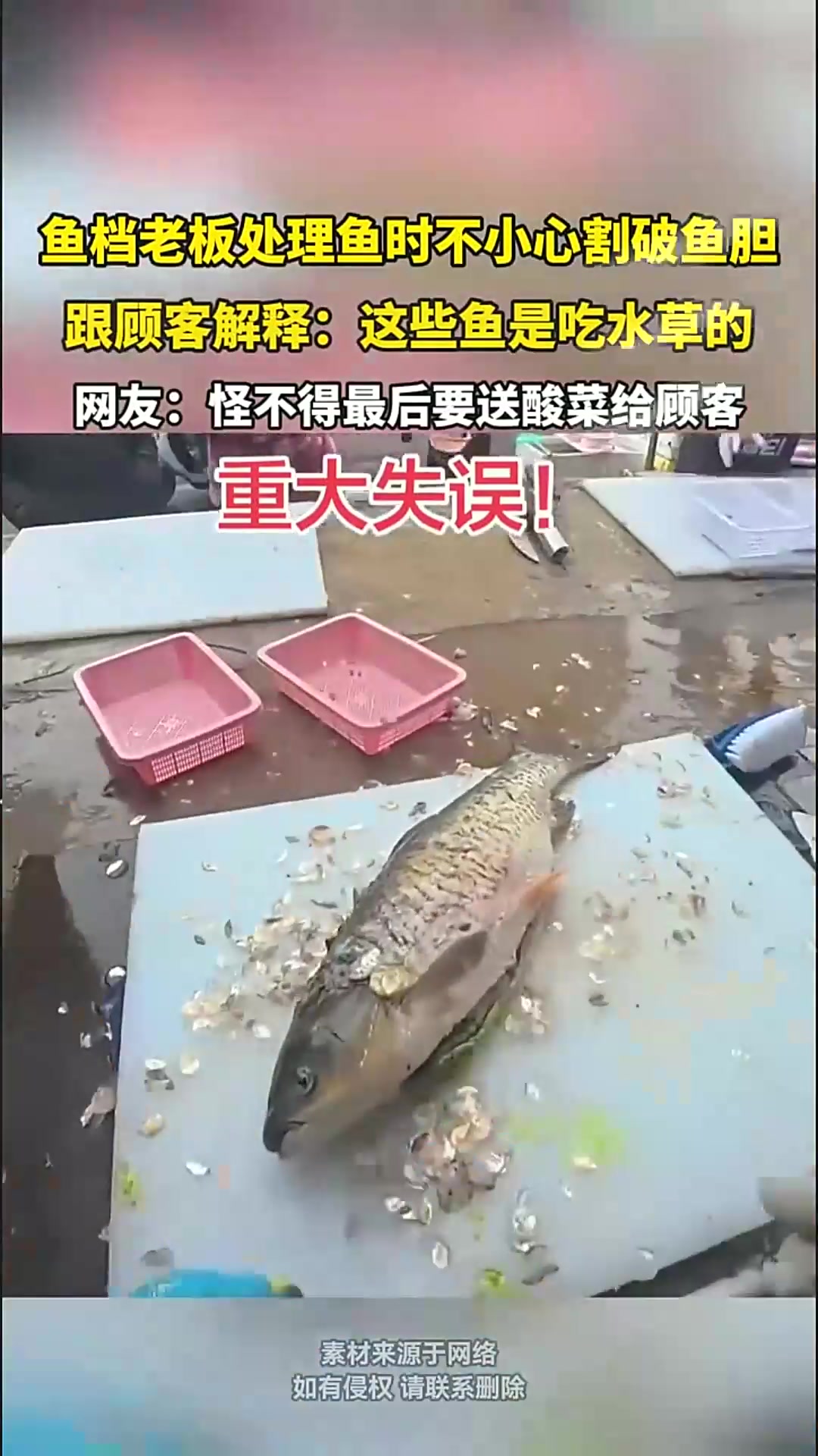 鱼档老板处理鱼时不小心割破鱼胆，立马跟顾客解释：这些鱼是吃水草的829