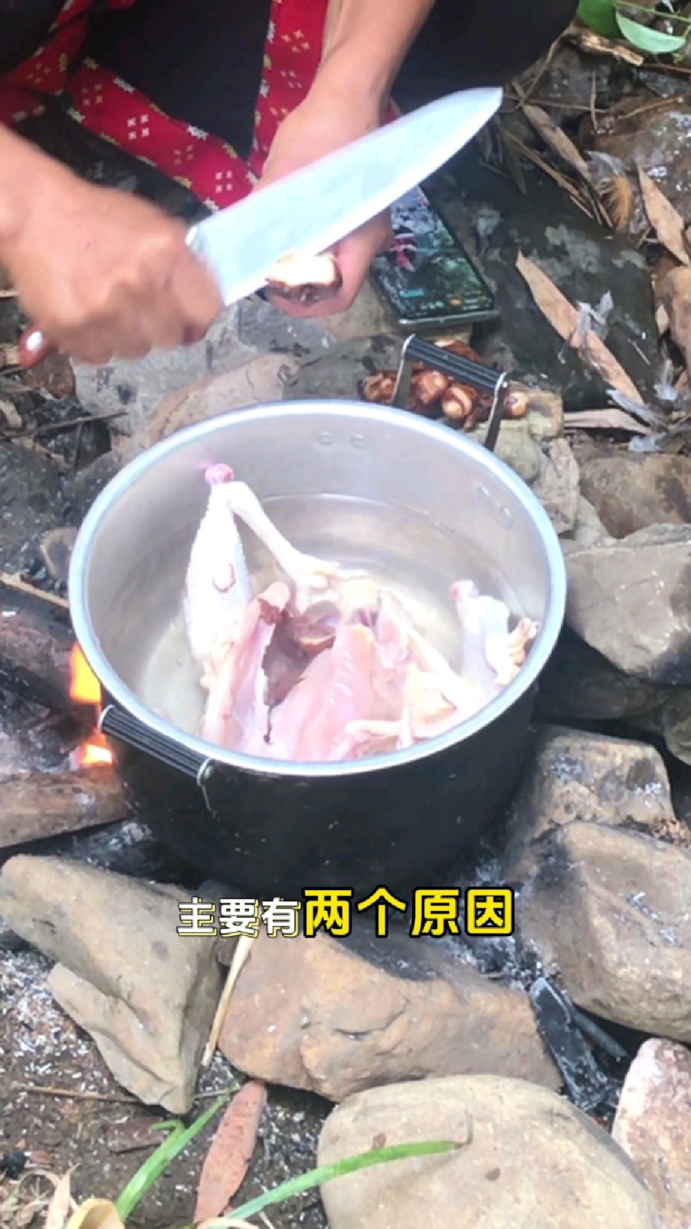 土茯苓煲汤习俗的由来