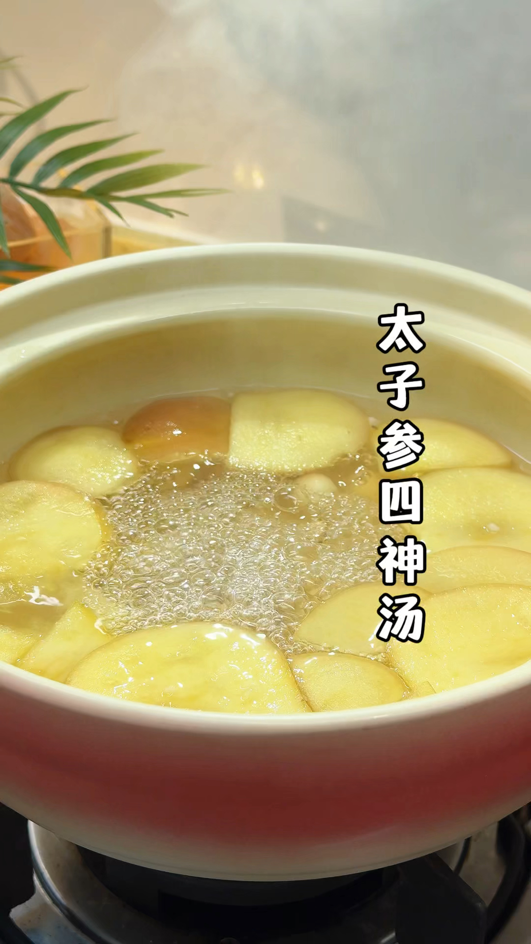 见外婆春天经常给孩子煲太子参四神汤,妈妈们抓紧给孩子煲一碗