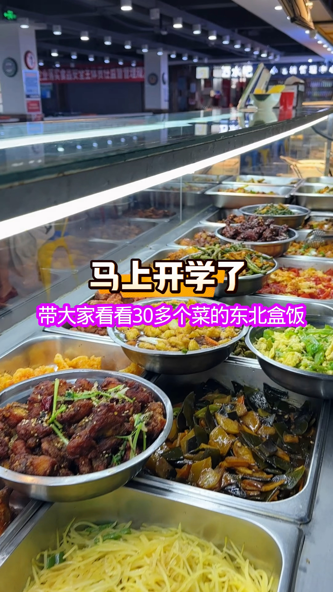 马上开学了带大家看看30多个菜的东北盒饭