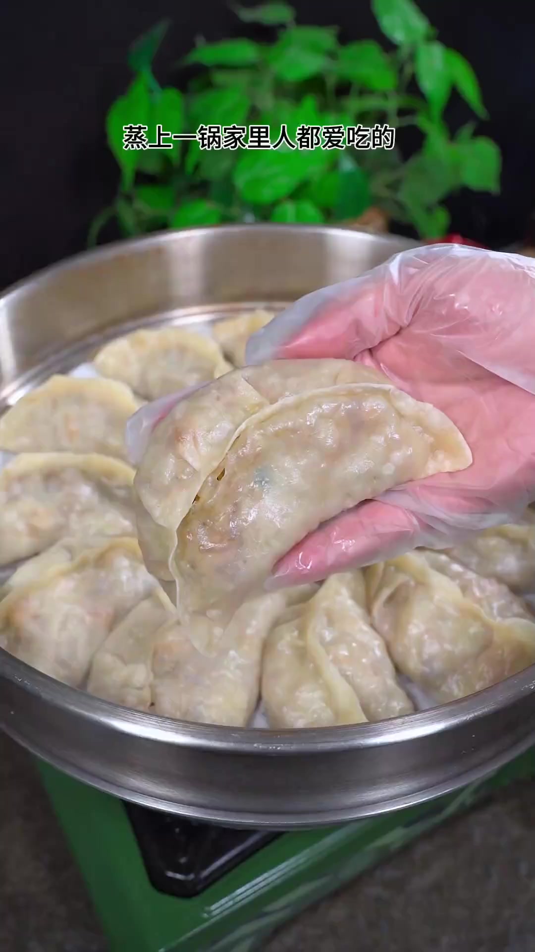 白菜素馅烫面大蒸饺,薄皮大馅,馅料特别鲜香