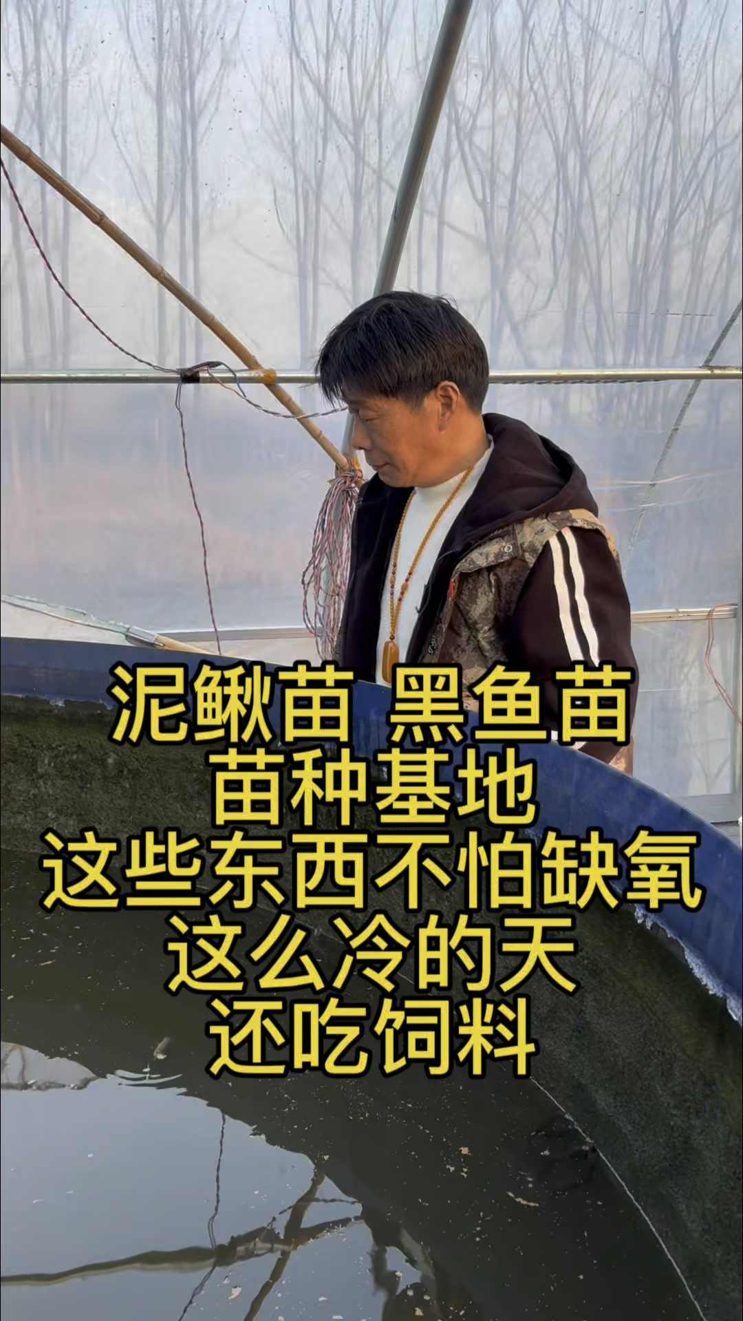 泥鳅黑鱼养殖基地