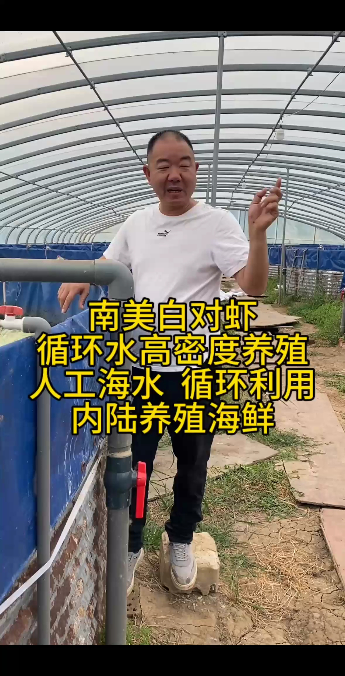 南美白对虾循环水养殖技术