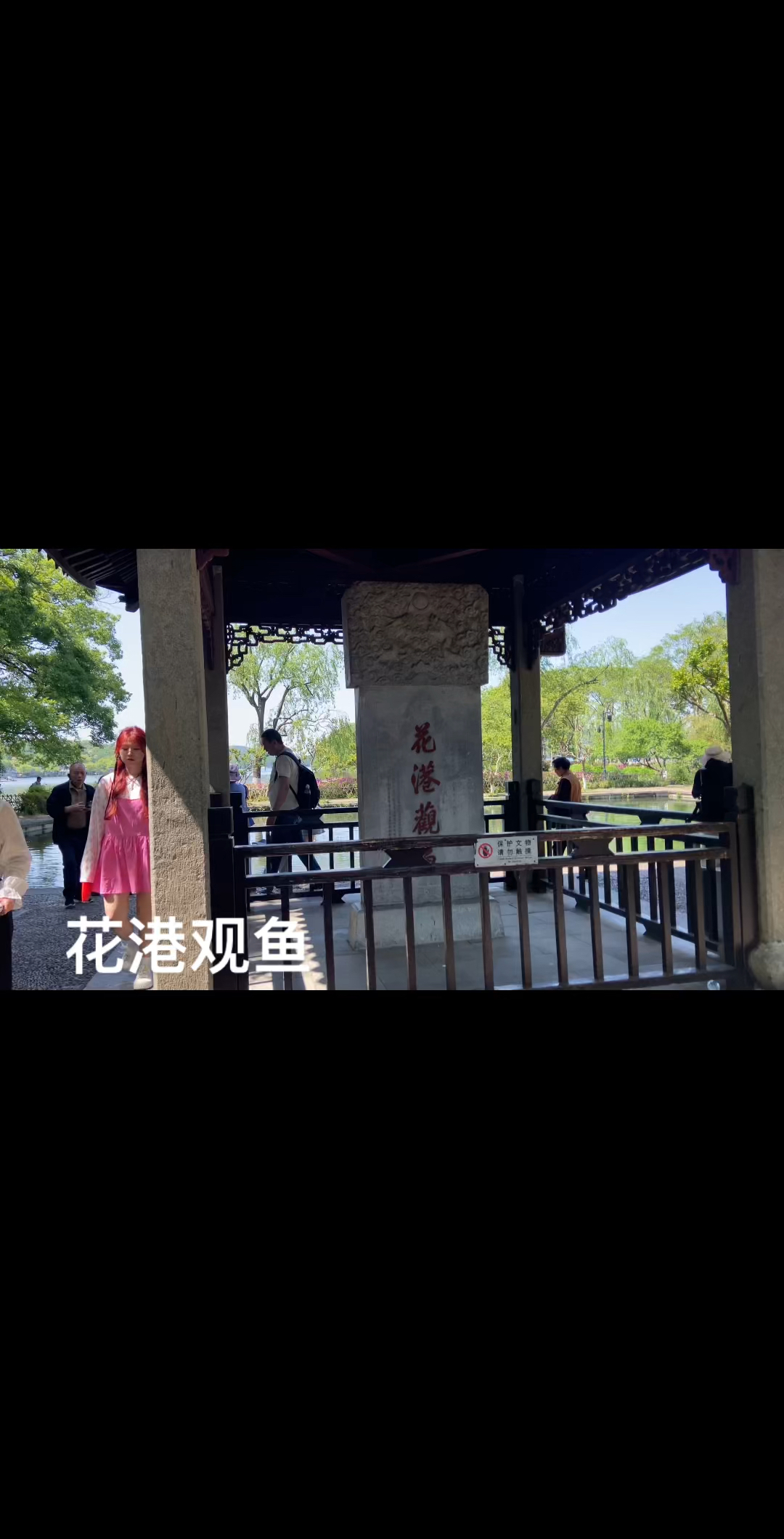 西湖十景之花港观鱼
