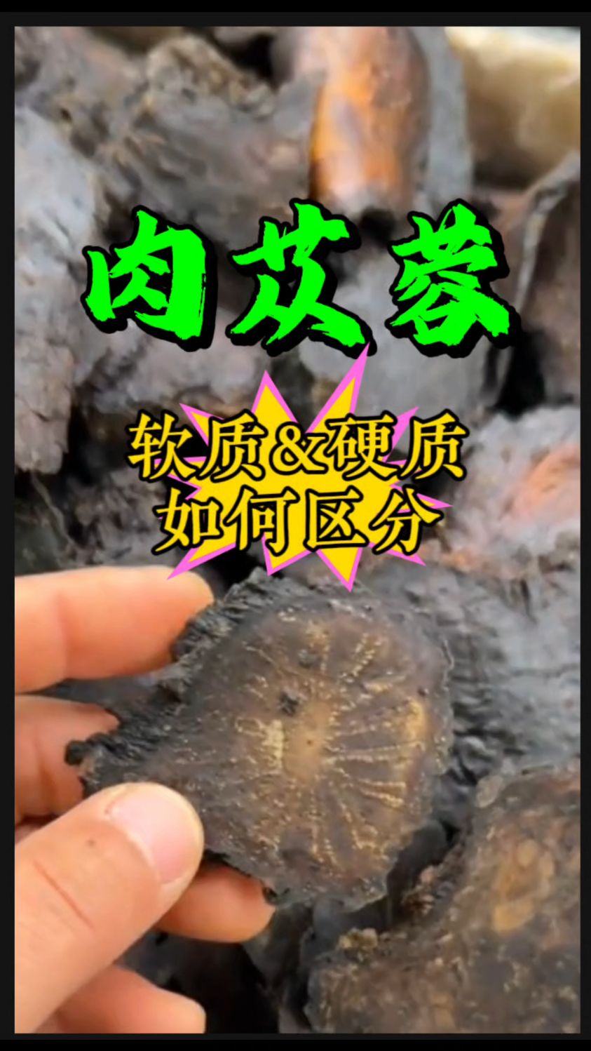软质和硬质的[肉苁蓉]如何区分