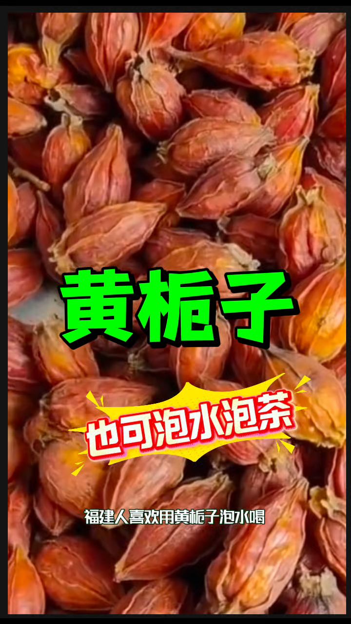 今日分享【黄栀子】