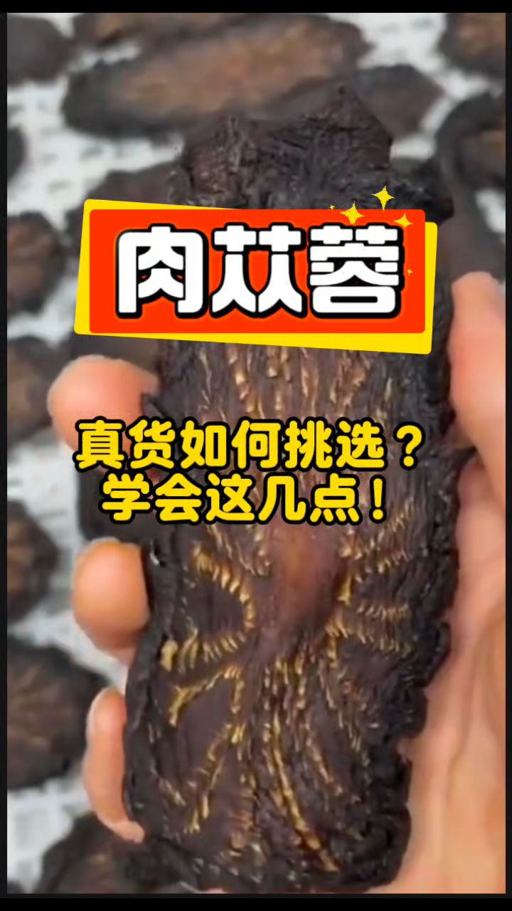 【肉苁蓉】通过“捏、切、泡、闻”挑选好的货品