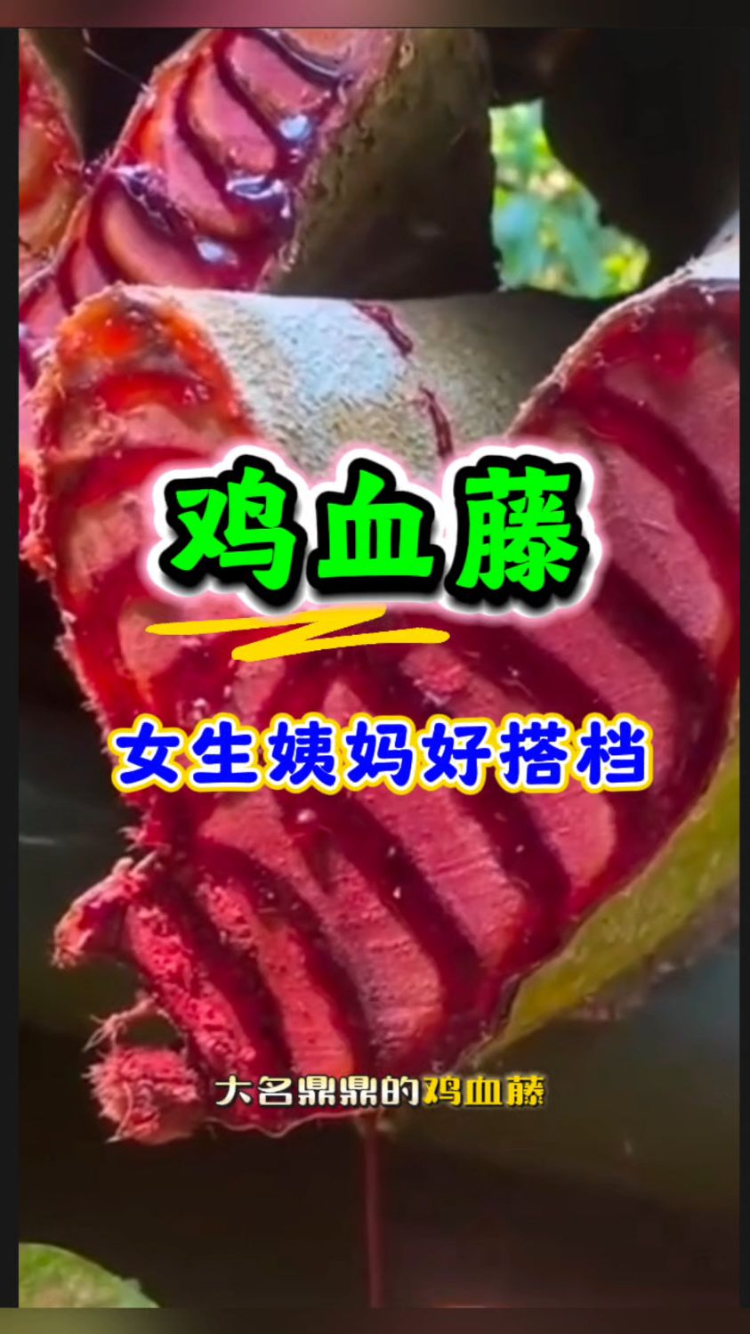深山里的[鸡血藤],“姨妈”好搭档