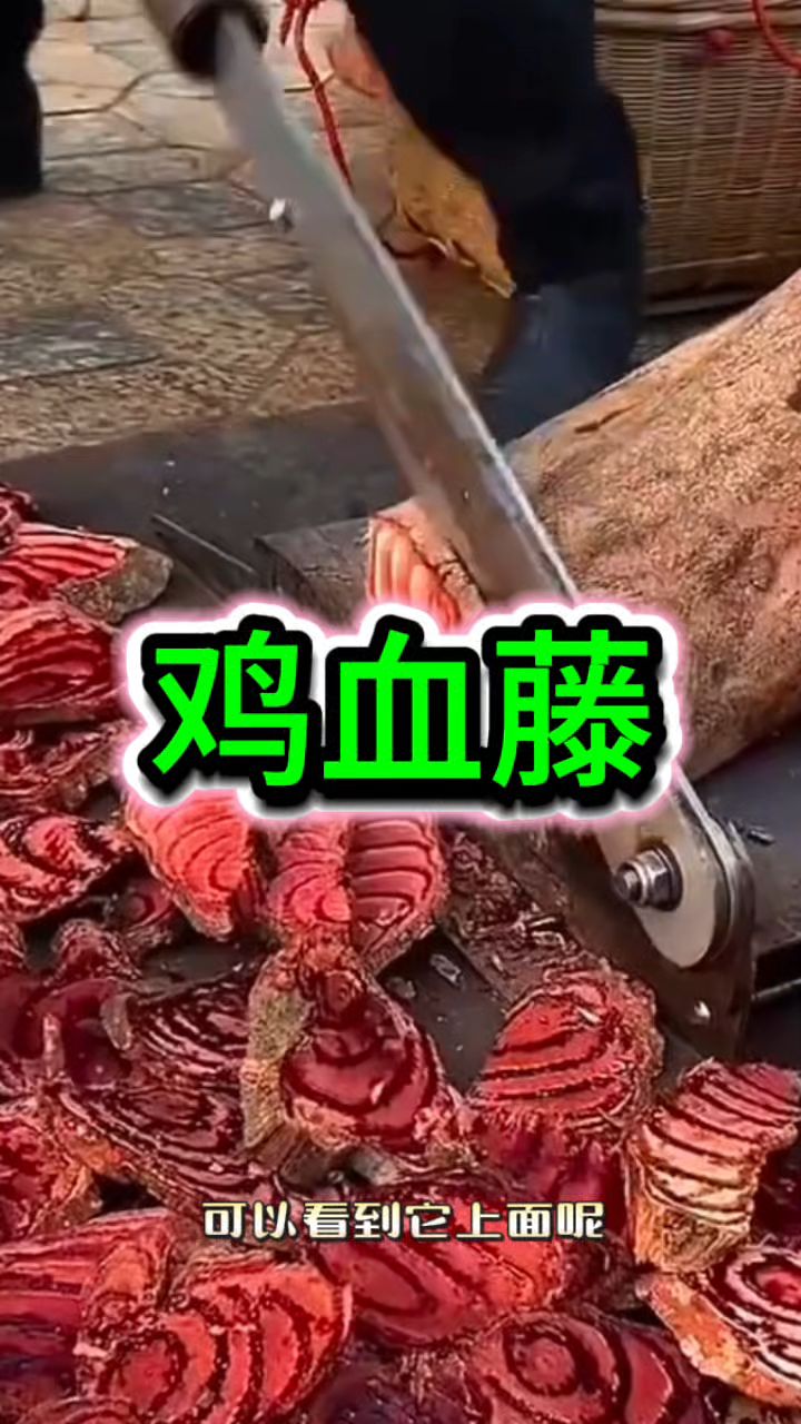 鸡血藤是个宝,“姨妈”好搭档
