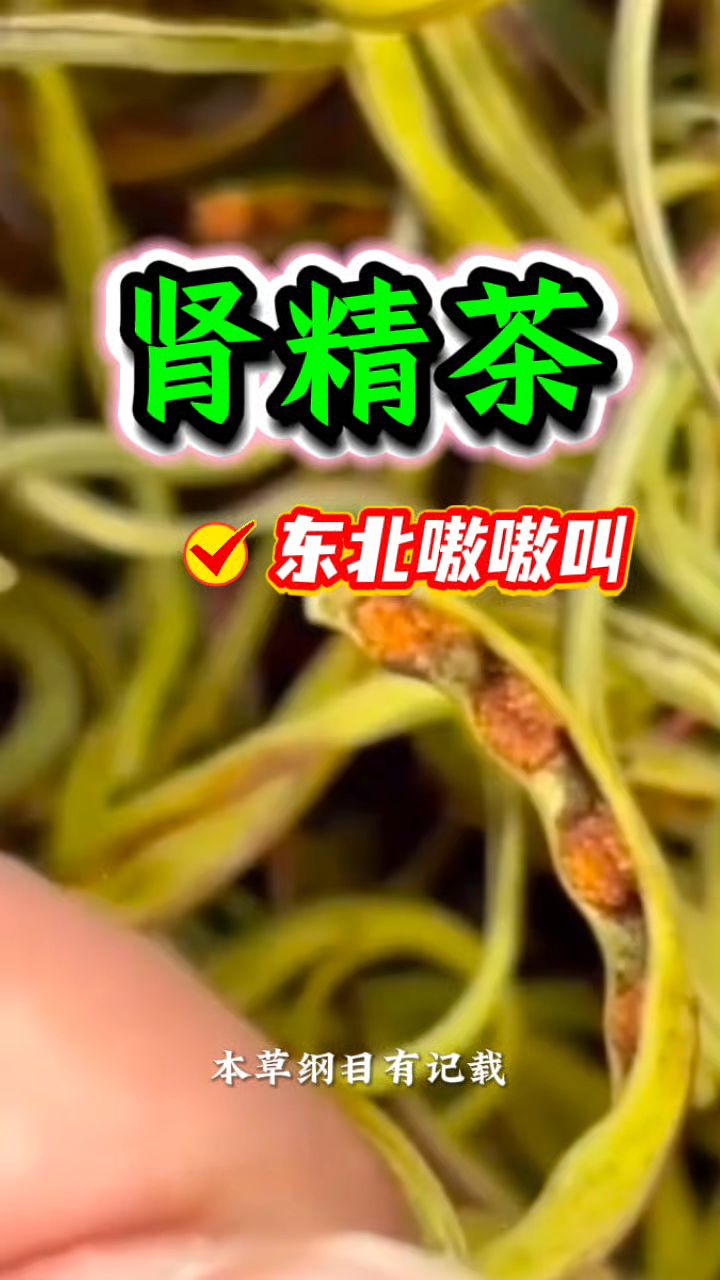 这个就是东北嗷嗷叫【肾精茶】