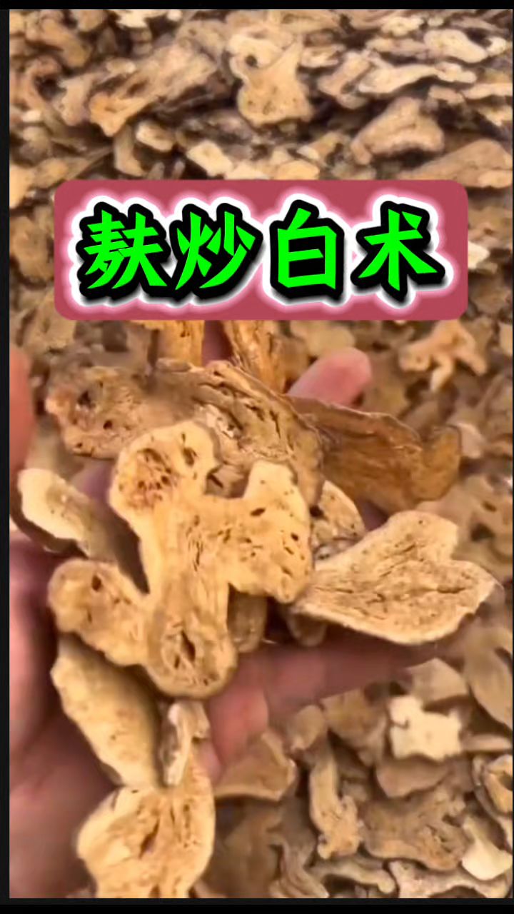 麸炒白术您会做吗?用处多多