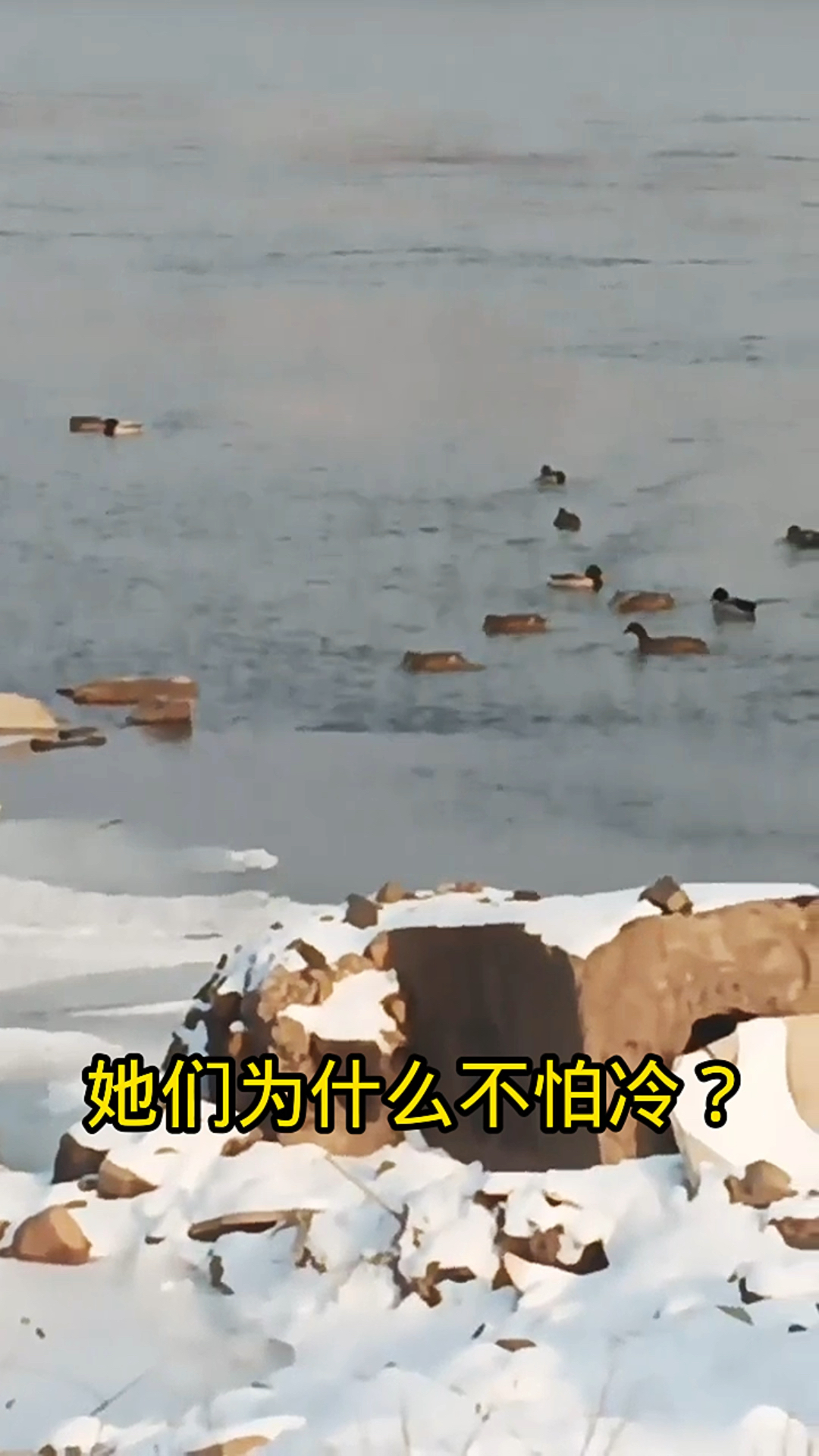 吉林市松花江边的美景