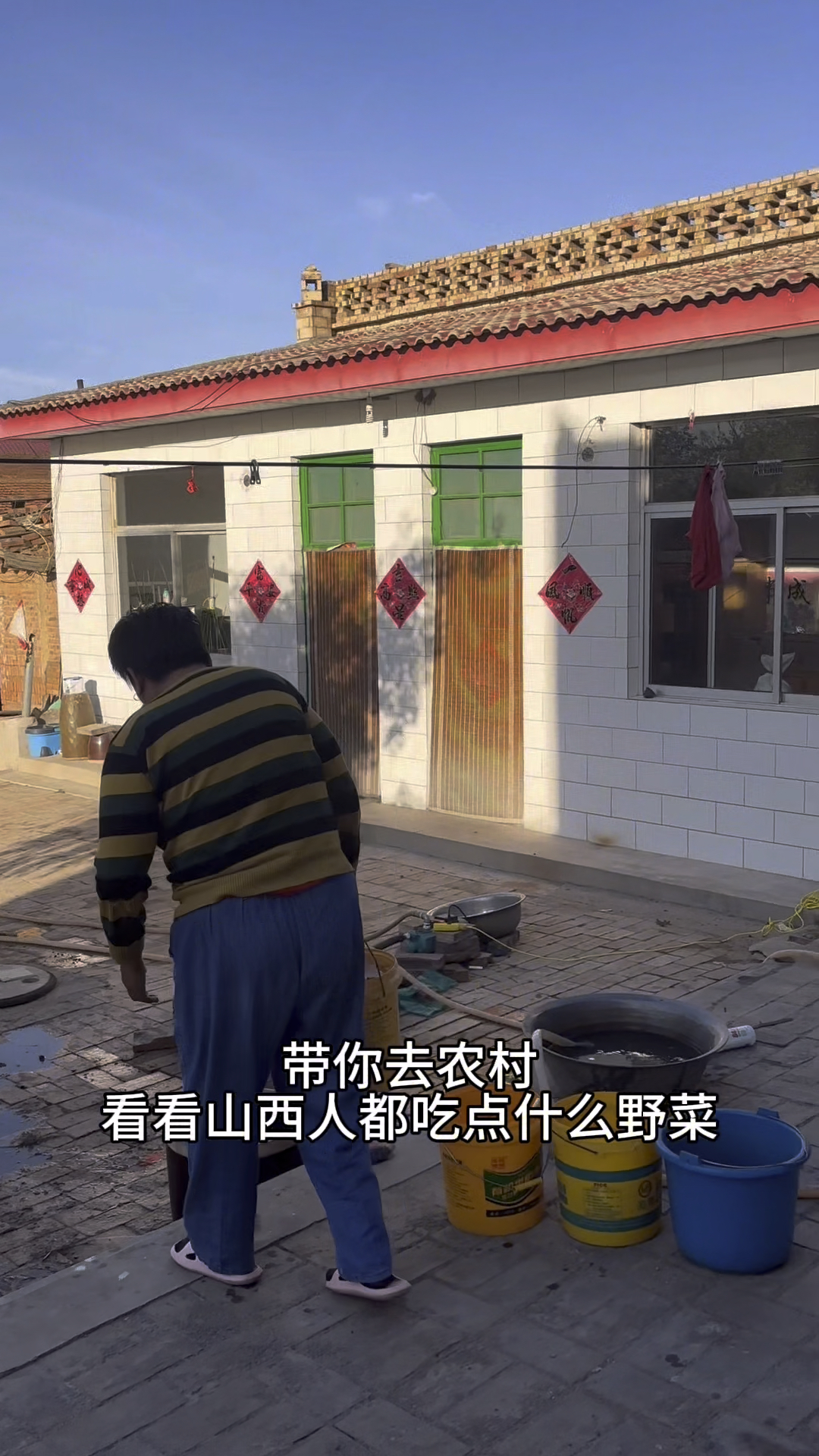 啊不是吧，现在还有人吃野菜啊！不过山西这个味道绝了