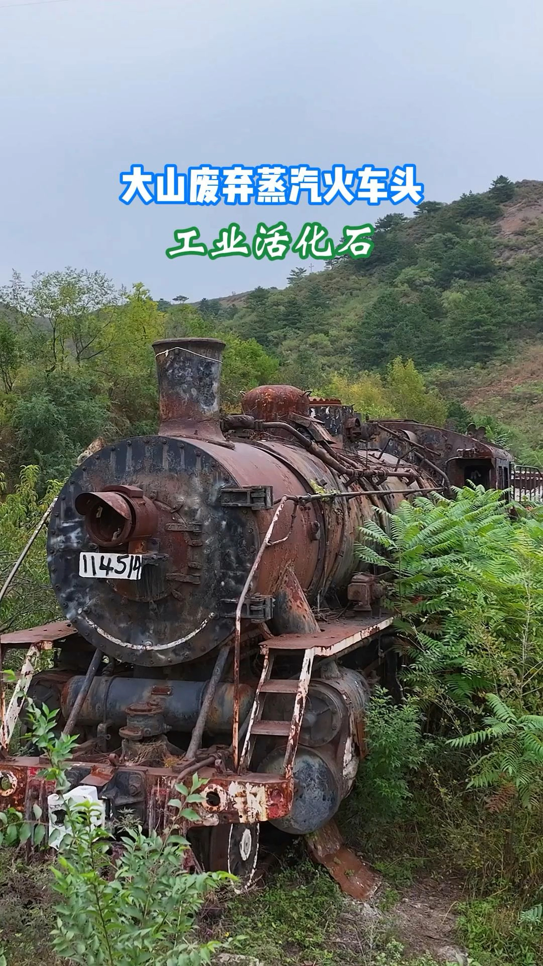 废弃蒸汽火车头，这是实打实的工业活化石，是真正的火车