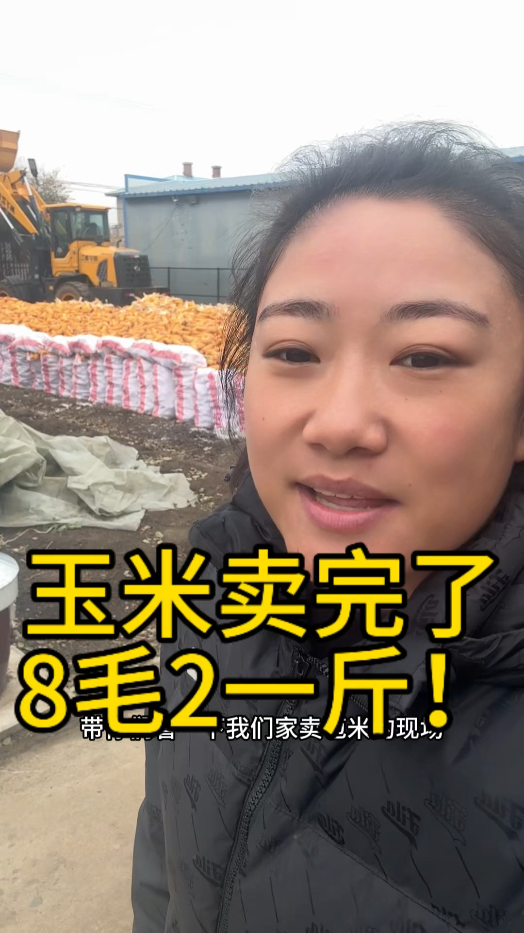 东北玉米多少钱一斤?咱家的卖完了!8毛2贵不?