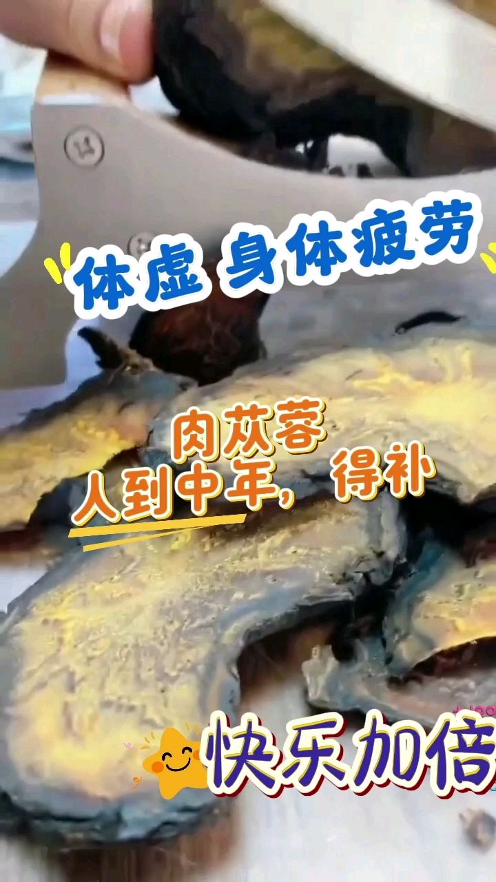 肉苁蓉茶—体虚 身体疲劳 人到中年 得补