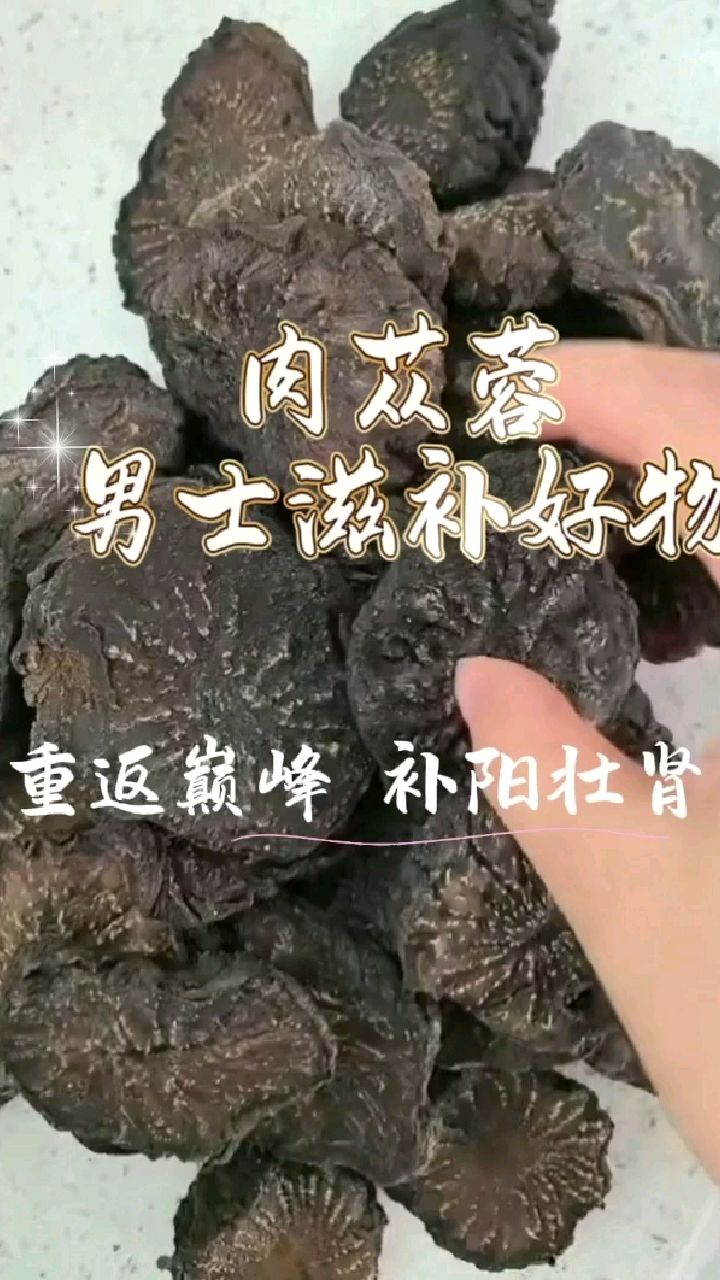男士滋补养生茶—肉苁蓉