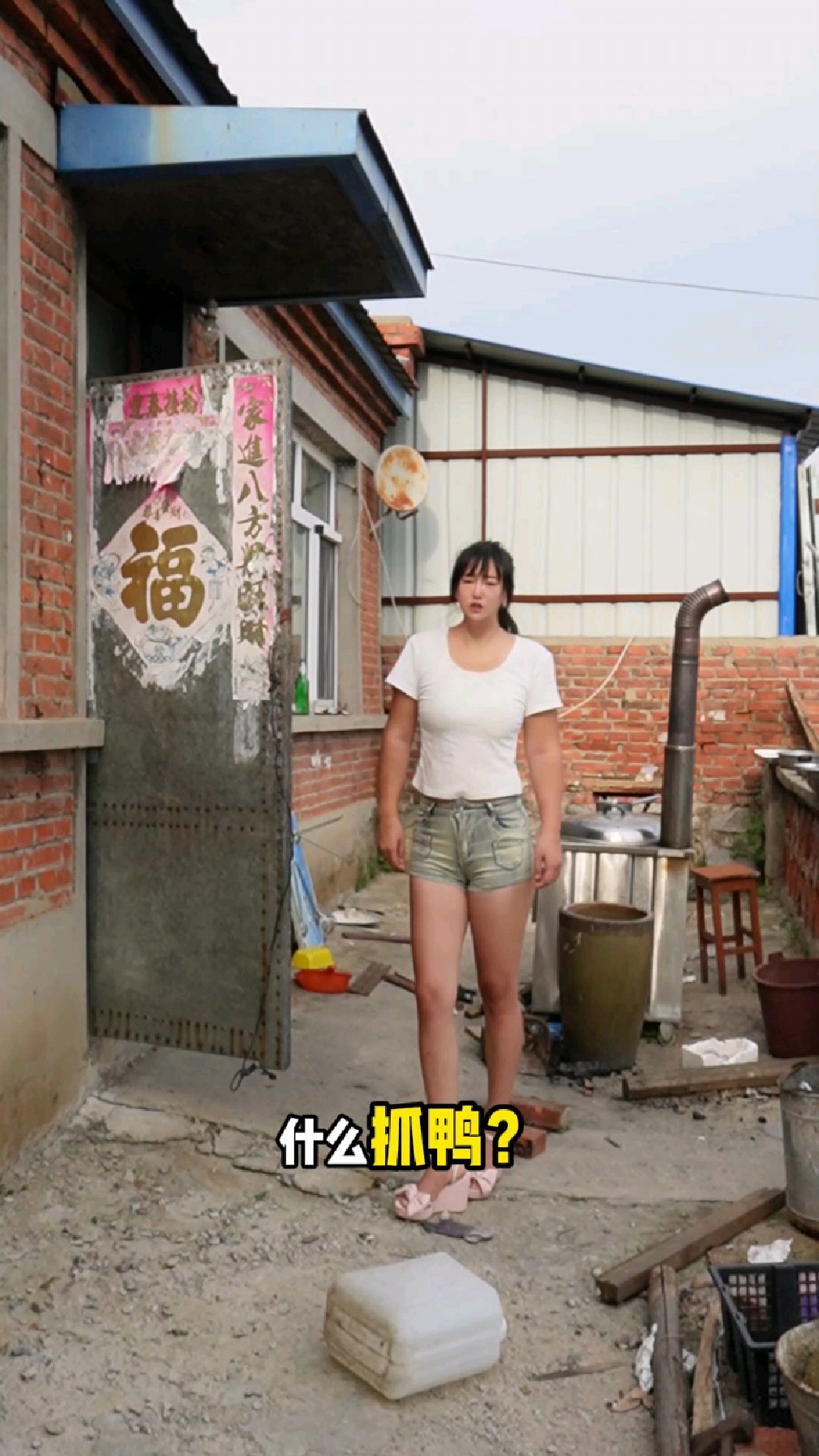 带你们体验一下铁锅炖啤酒鸭