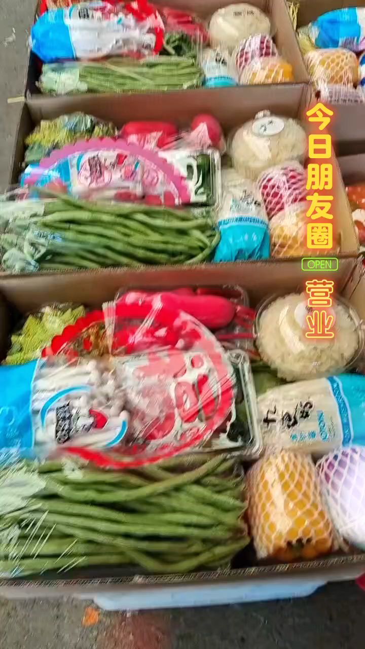 精品有机蔬菜礼盒！新鲜那是没的说！