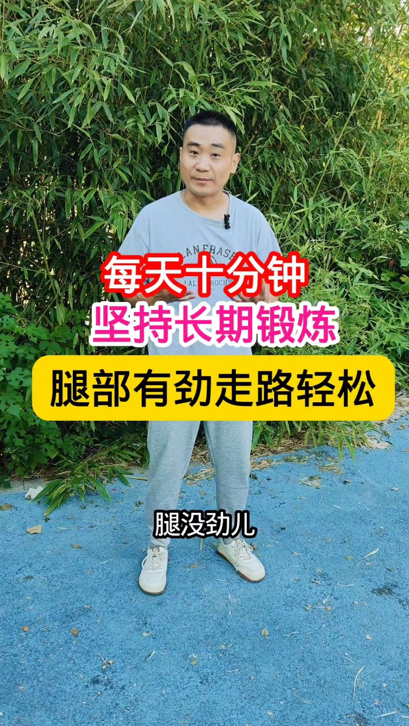 中老年腿部肌肉力量训练