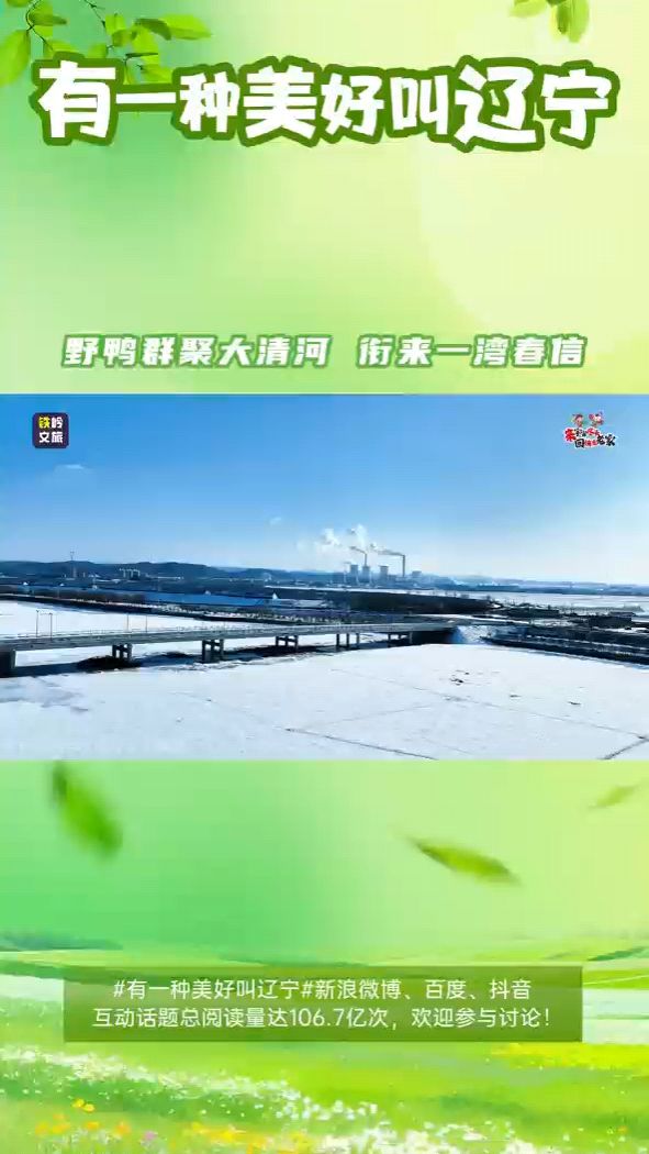 野鸭群聚大清河 衔来一湾春信