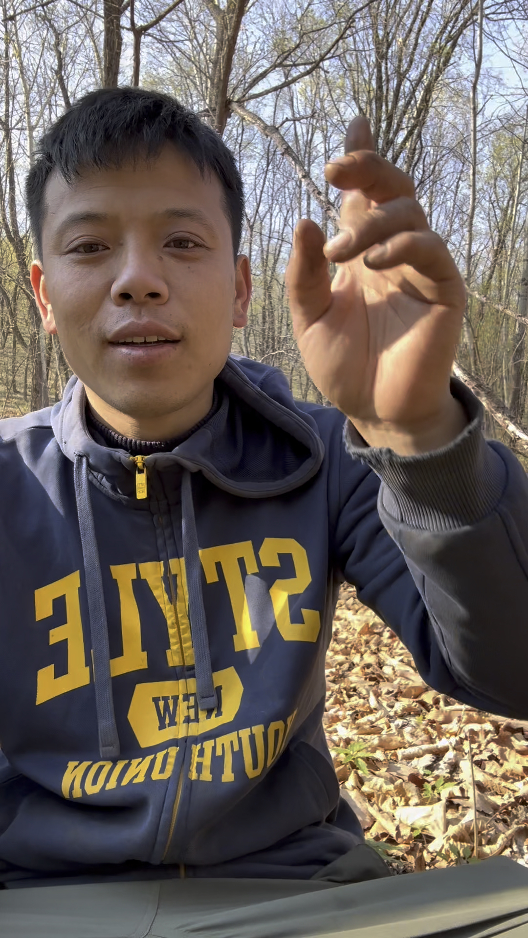 上山采野菜,猴腿菜刚露头