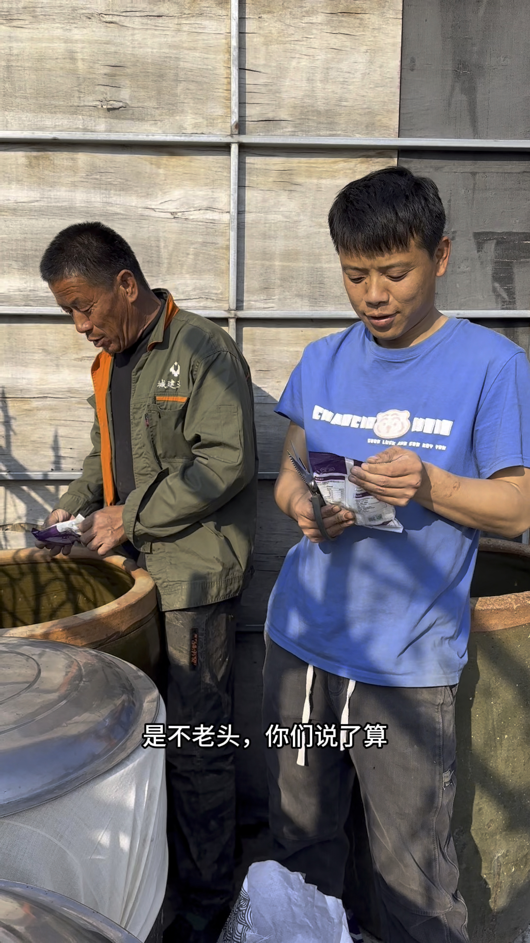 东北农村生活，上山采猴腿菜在家下大酱
