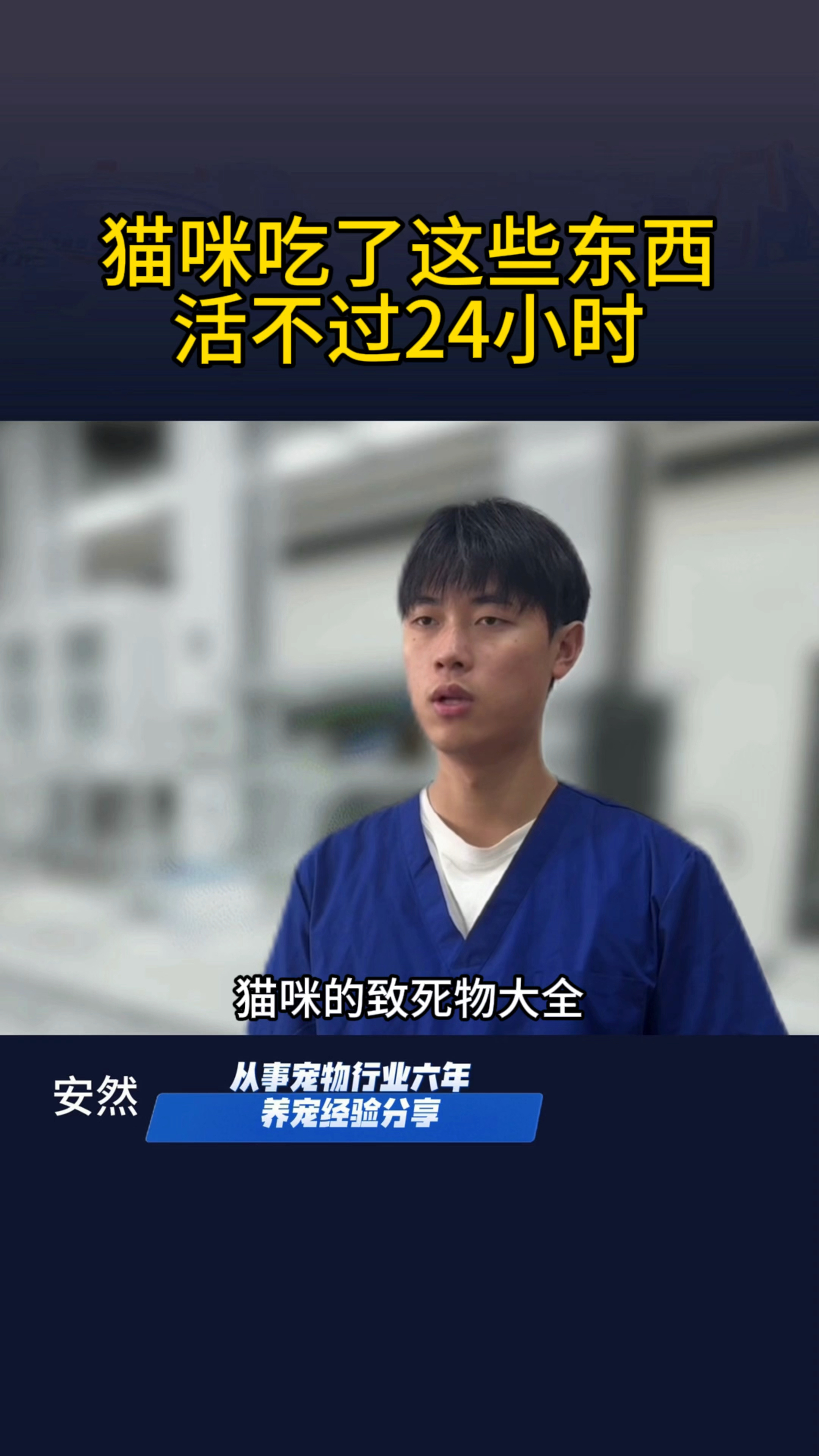 不能给猫咪吃的东西