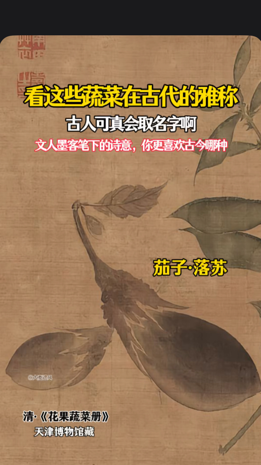 古代对蔬菜的雅称，名字太美了！你更喜欢哪种？