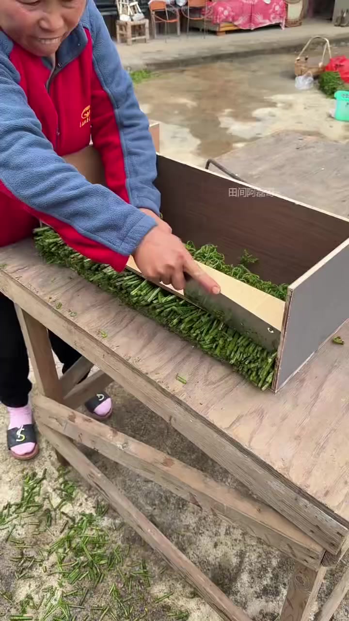 山上摘回来的蕨菜