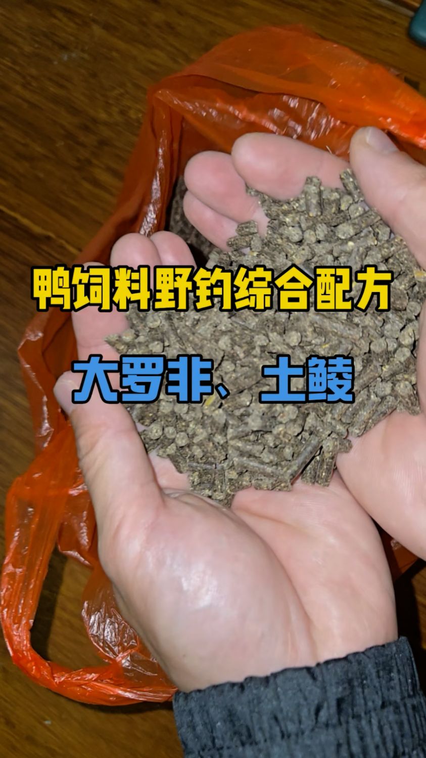 便宜又好用的鸭饲料野钓配方，大罗非、土鲮、鲤鱼都能钓！