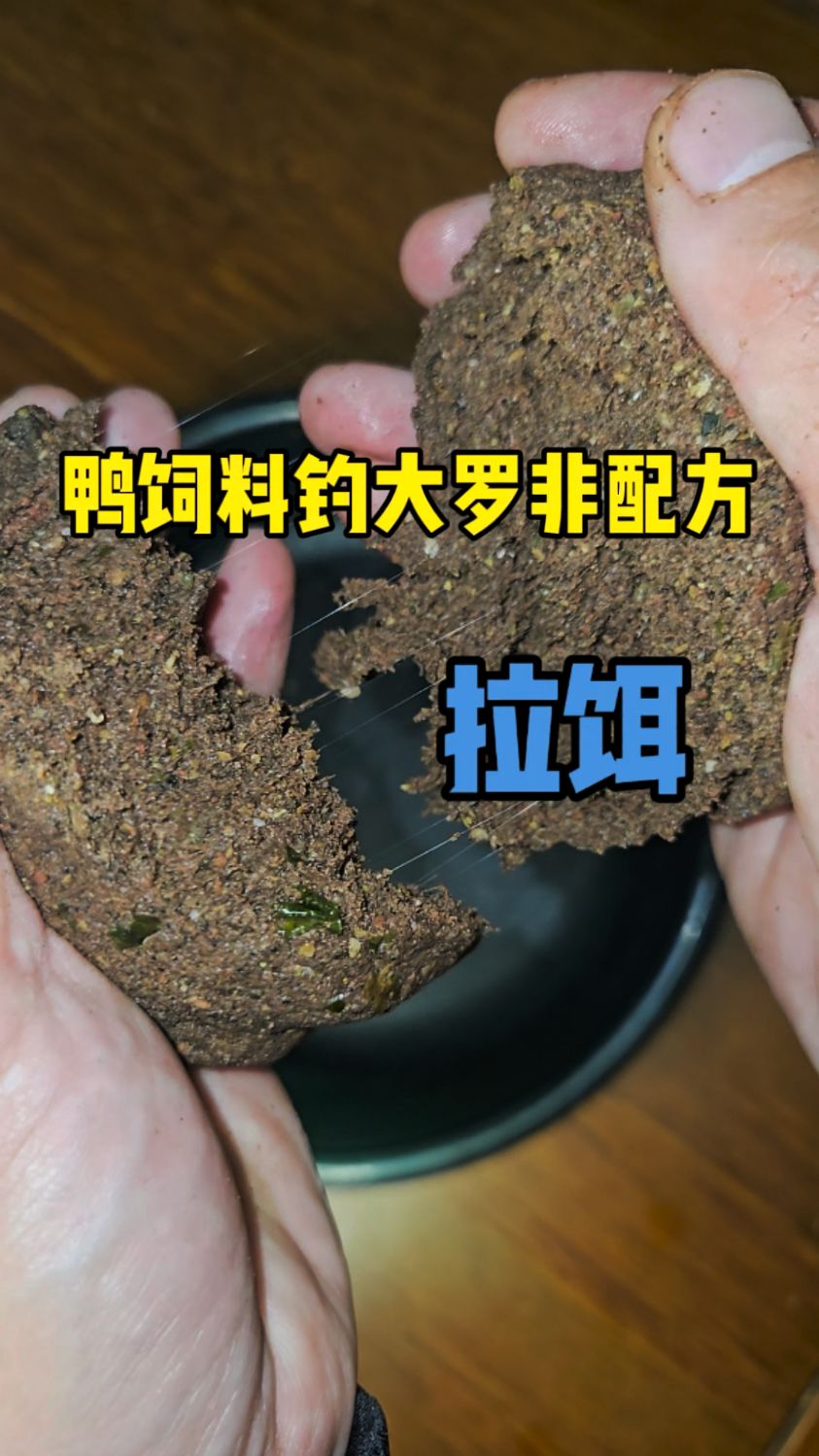 三个小时野钓破百斤鱼!鸭饲料野钓大罗非配方开拉饵方法分享