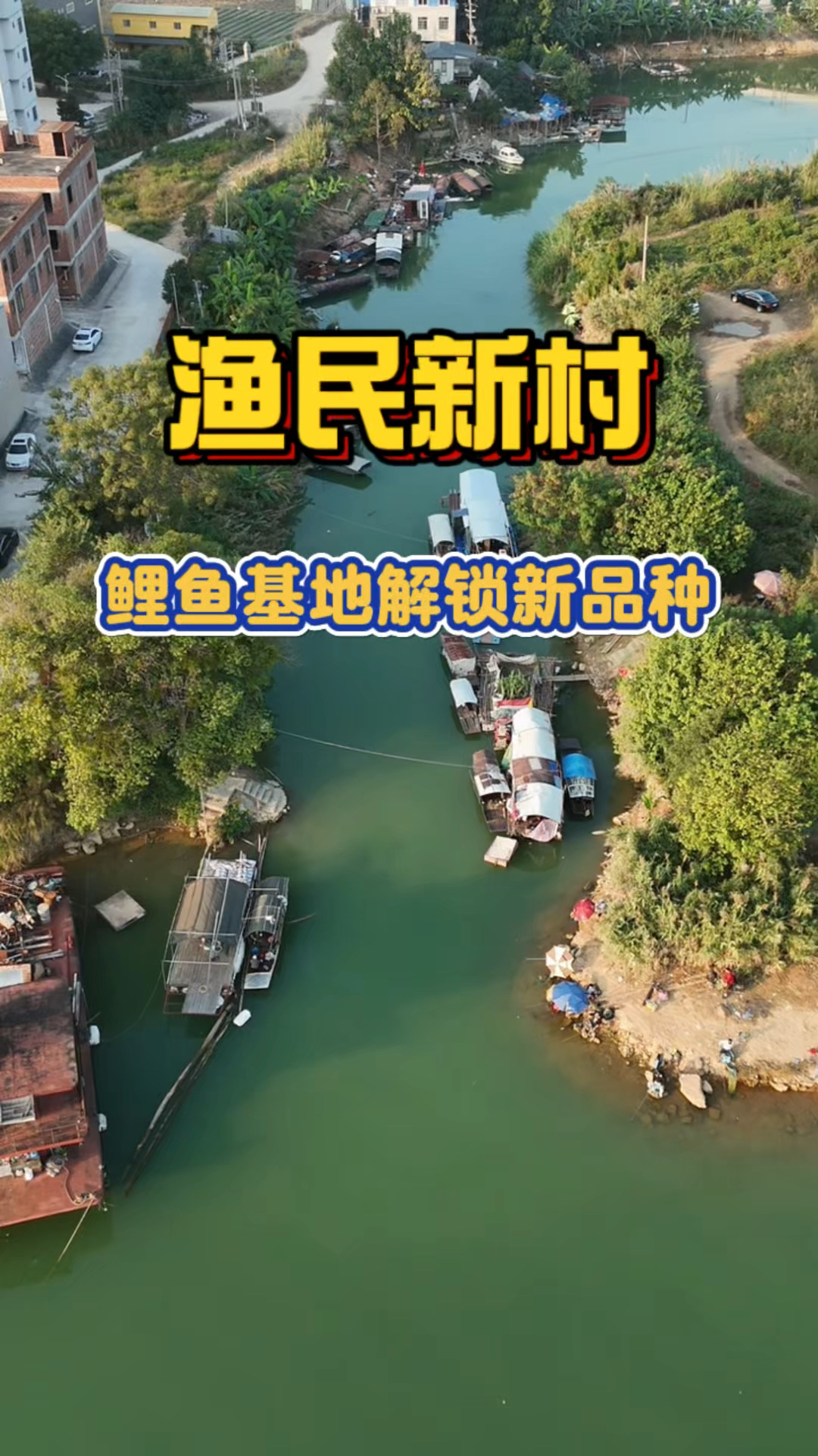 汽车都能开到江边，体验邕江鲤鱼基地，意外解锁新品种的鱼