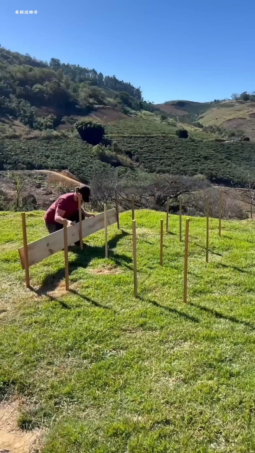 为了吃到免费的菜，小伙搭建了一个菜园子，在里面种菜