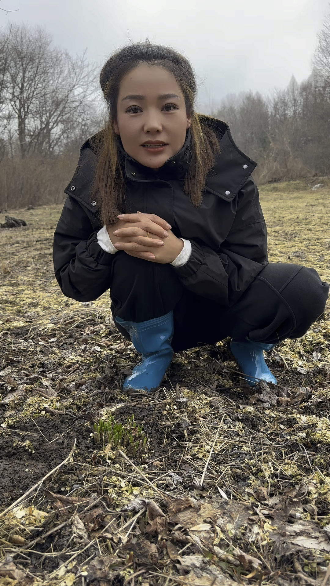 什么样的山野菜,有三种味道?林区最早的山菜!