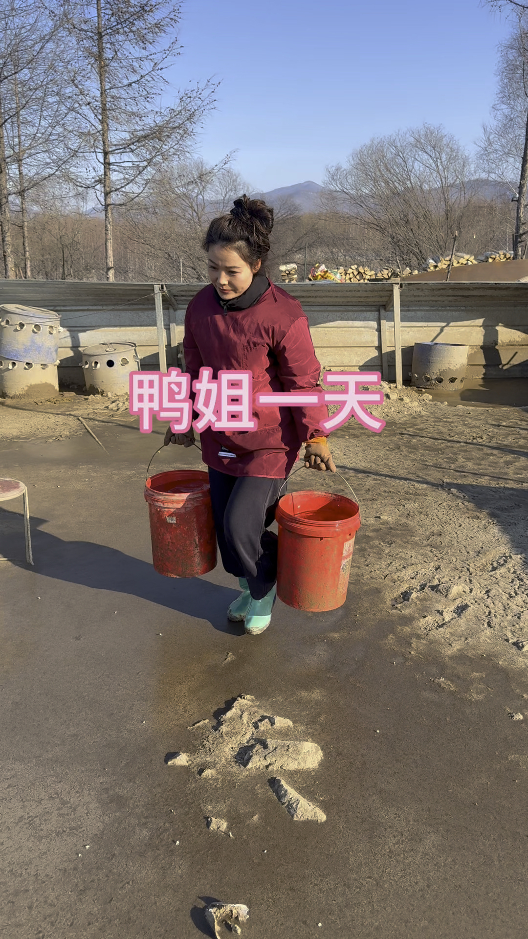 东北农村怎么养鸭子?