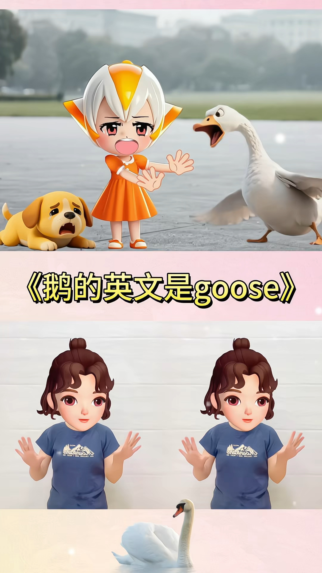 鹅的英文是goose