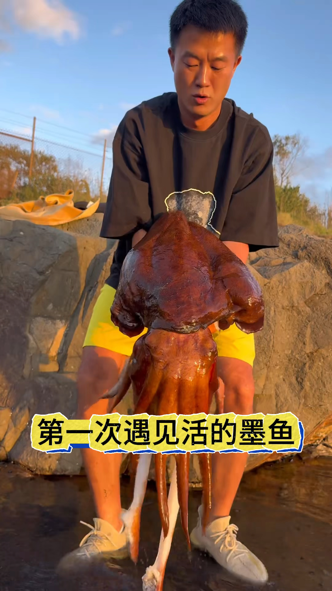 第一次见这么大的活墨鱼